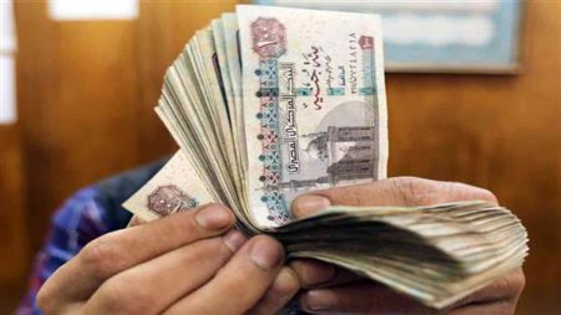 اقتصادي يبرز فوائد إدراج المركزي الروسي الجنيه المصري بقائمة العملات الرسمية