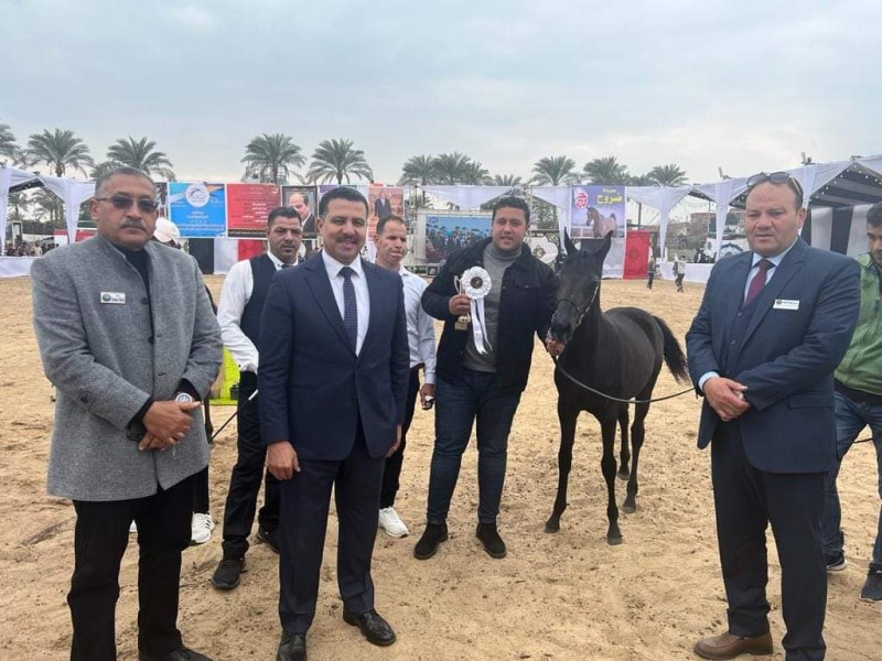 إنطلاق المهرجان الدولي السادس عشر للخيول العربية بكوم حمادة |صور