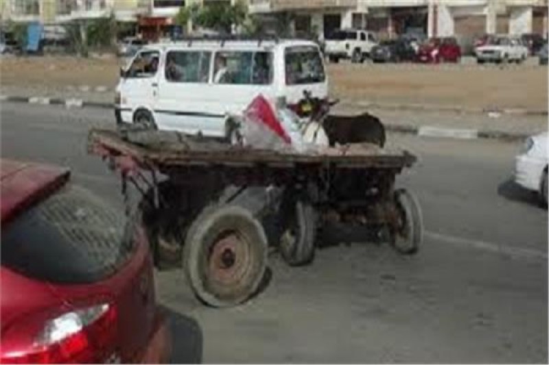 حادث صادم سيارة نقل بعربة كارو بكفر الدوار