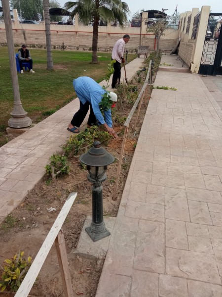 زراعة 100 شجرة في مكتبة مصر العامة بدمنهور