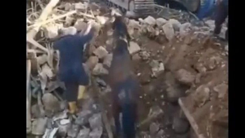 العثور على حصان حي تحت الأنقاض بعد 21 يوميا من زلزال تركيا