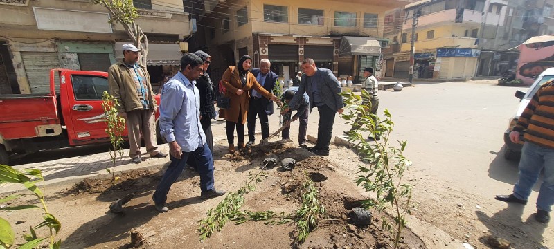 زراعة 100 شجرة بمكتبة مصر العامة بكفر الدوار