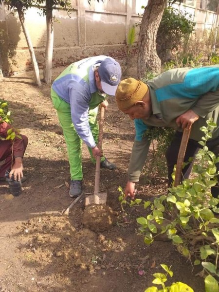 مبادرة ١٠٠ مليون شجرة بدمياط