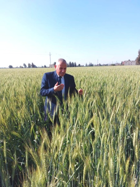 وكيل وزارة الزراعة بالبحيرة يتابع زراعات القمح بمركز أبو حمص