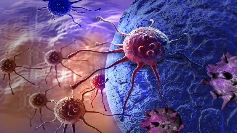 كل ما تريد معرفته عن مبادرة الكشف عن 4 أنواع من السرطانات