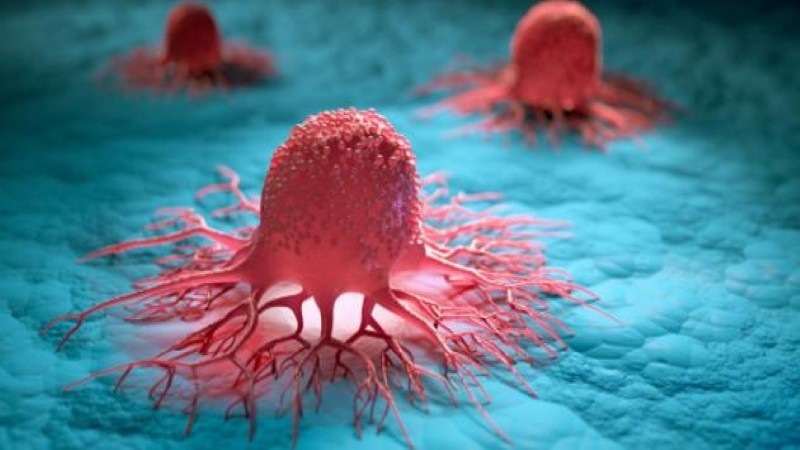 أستاذة تغذية: الصيام والعلاج الكيميائي يدمران الحمض النووي للخلايا السرطانية