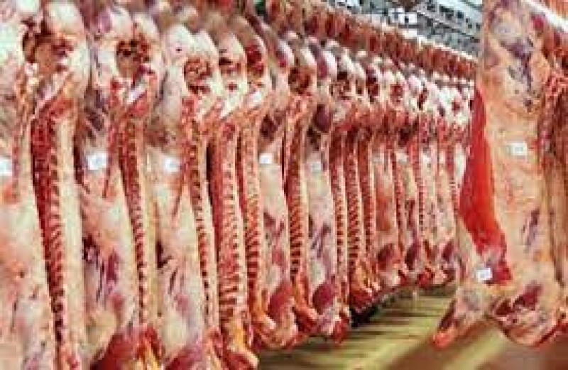 ”الزراعة” تم توفير كميات مناسبة من اللحوم استعدادا لعيد الأضحى