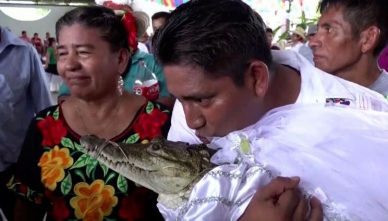 عمدة بلدة مكسيكية يتزوج من انثى تمساح |صور