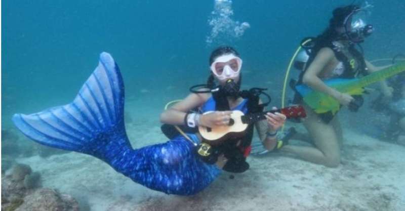 لحماية الشعاب المرجانية .. مهرجان موسيقي واغاني تحت الماء |صور