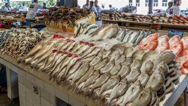 استقرار أسعار الأسماك والجمبري اليوم الثلاثاء