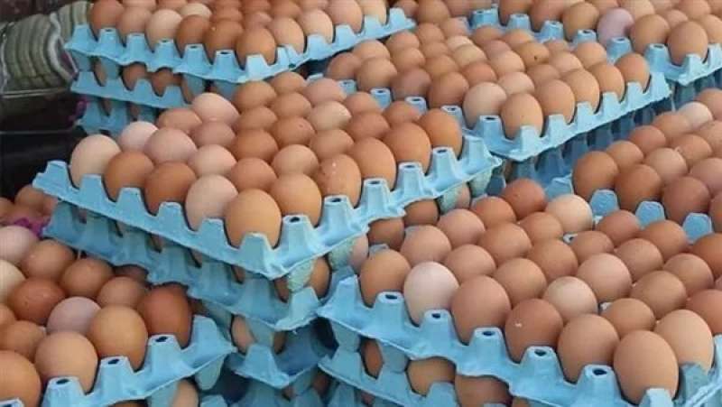 هبوط أسعار البيض اليوم السبت بالأسواق