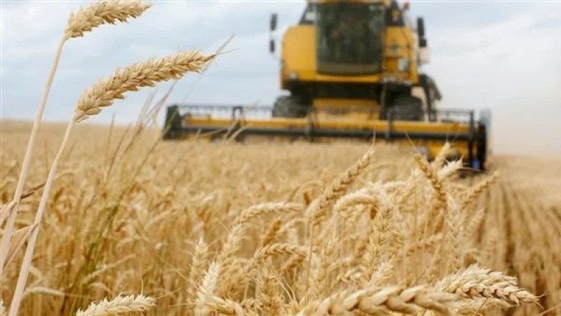 أوكرانيا تعلن عن حصاد 11 مليون طن حبوب خلال عام 2023