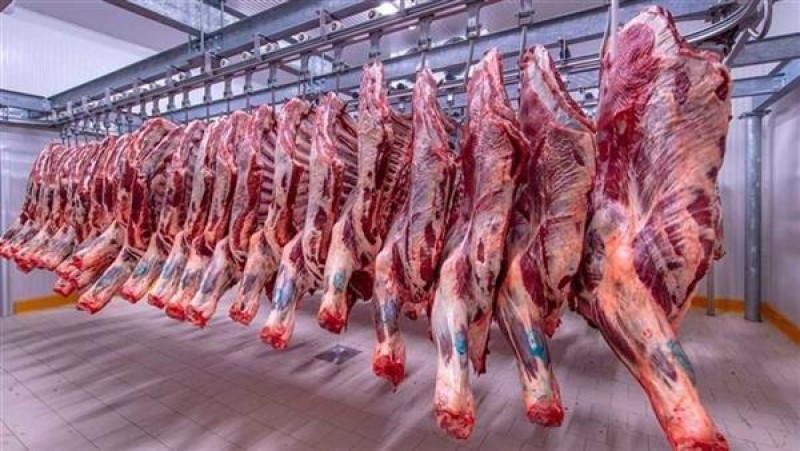 التموين: 220 جنيها سعر كيلو اللحوم السودانية في المجمعات الاستهلاكية