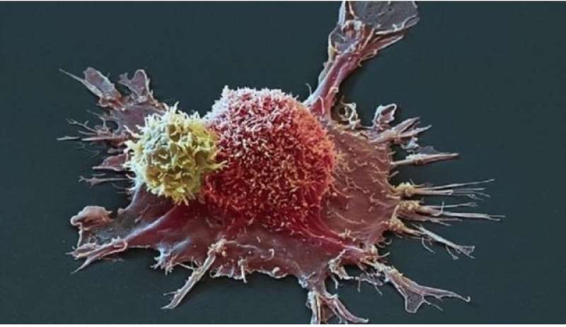 شل الخلايا السرطانية.. علاج جديد ضد المرض الخبيث