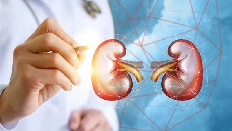 احذروا.. التأخر في اكتشاف أمراض الكلي يسبب مضاعفات خطيرة