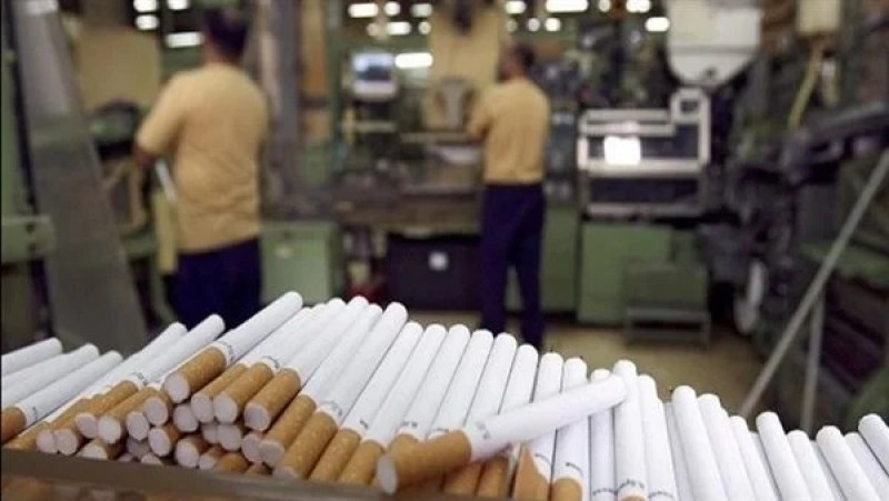 أسعار السجائر.. المالية تكشف حقيقة فرض ضريبة وإجراءات للشرقية للدخان