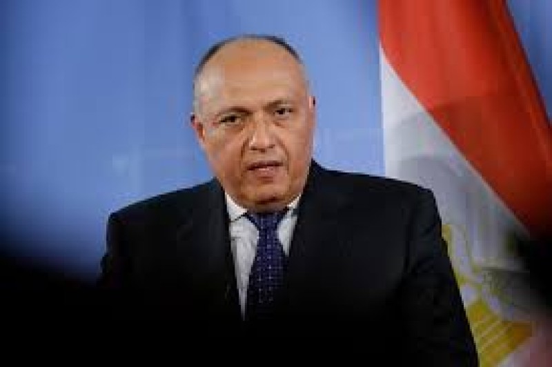 وزير الخارجية يتحدث عن حلول للأزمة السودانية | فيديو