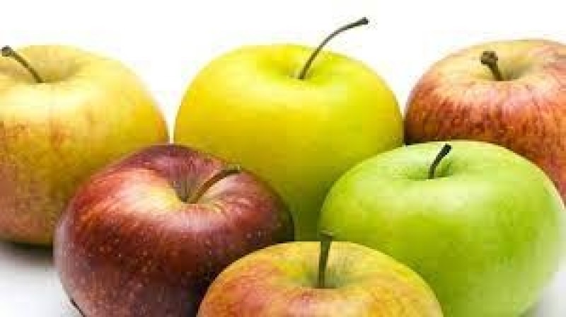 جمال شعبان يكشف مفاجأة عن تناول التفاح