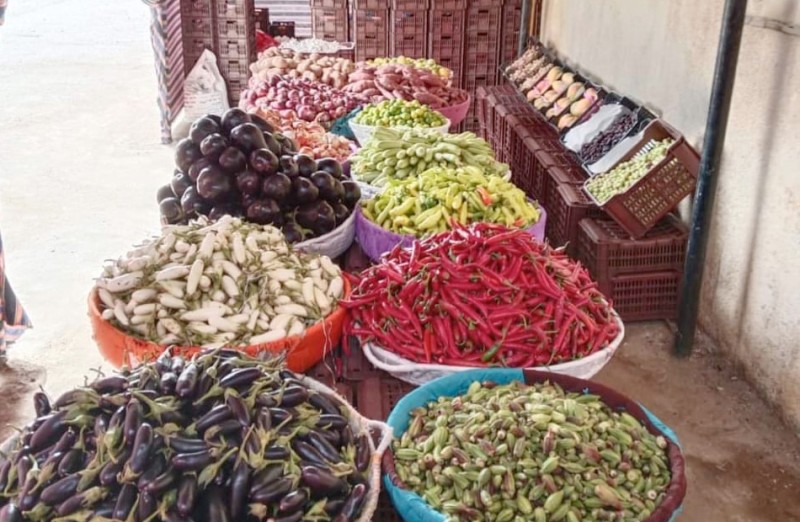 انطلاق مبادرة «وادي دارا» لبيع منتجات الخضراوات والفاكهة بأسعار مخفضة برأس غارب | صور