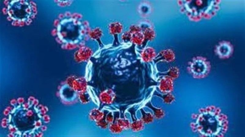 الصحة العالمية تطالب الصين بمعرفة أصول فيروس كورونا (فيديو)