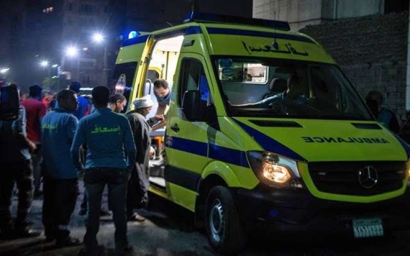 مقتل غفير خاص على يد طبيب بيطري  بالغربية