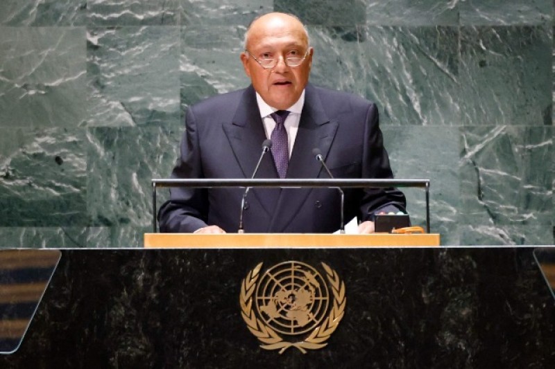 وزير الخارجية: مصر تدعم جهود مكافحة الإرهاب في إفريقيا