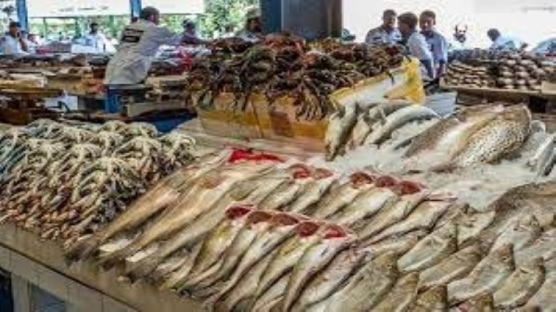 هبوط أسعار الأسماك اليوم الأحد في الأسواق