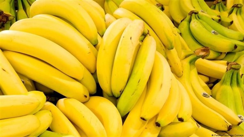 خبير التغذية يكشف علاقة الموز الأخضر بسرطان القولون