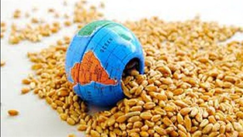 «الأغذية العالمي» يتلقى مساهمة يابانية لمكافحة انعدام الأمن الغذائي بإفريقيا
