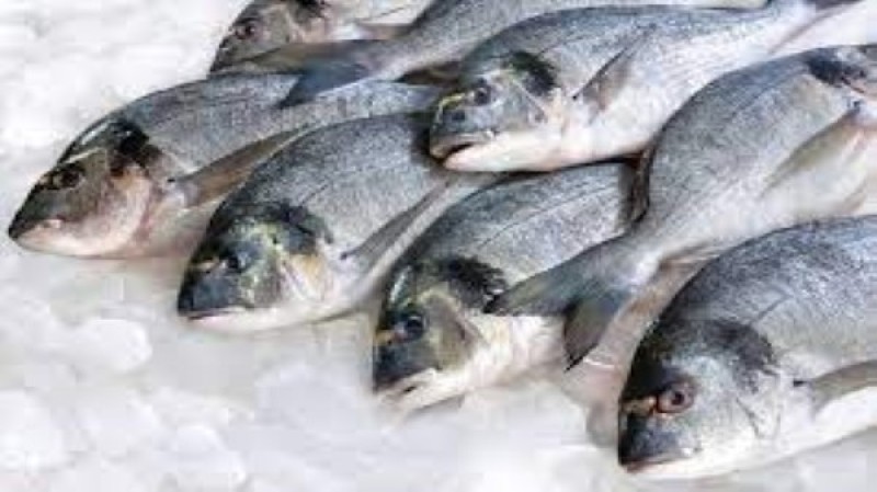 أعراض تؤكد تناولك أسماك مسممة مجهولة