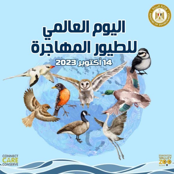 وزيرة البيئة: الاحتفال باليوم العالمي للطيور المهاجرة يؤكد الحاجة للحفاظ عليها