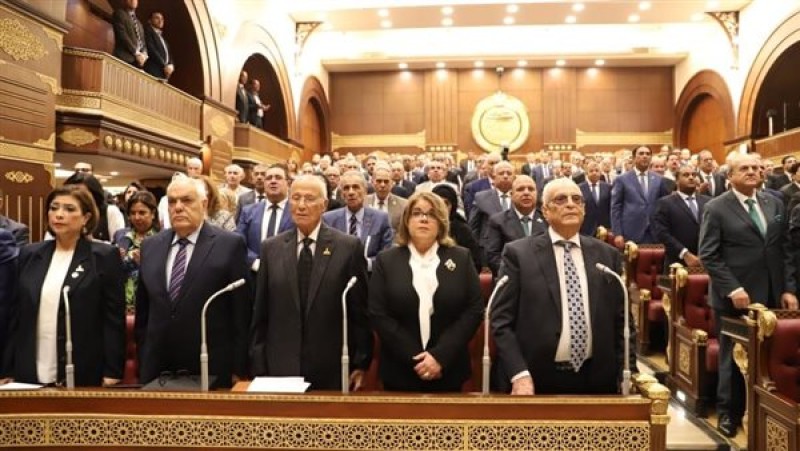 مجلس الشيوخ يعلن دعمه للرئيس السيسي لحماية الأمن المصري