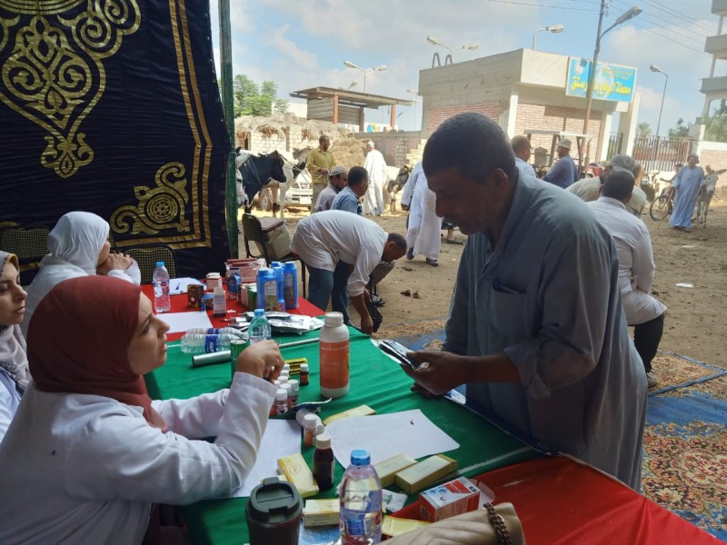 تنفيذ القوافل البيطرية العلاجية المجانية بقري محافظة الغربية
