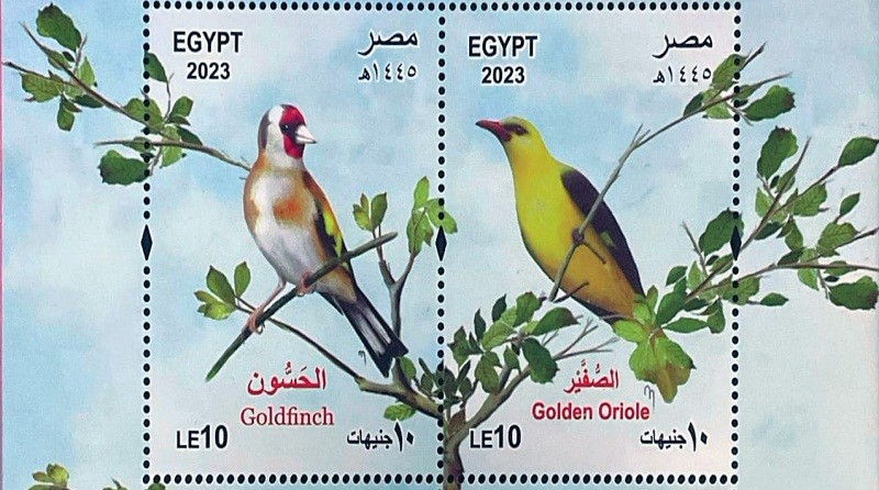 القومية للبريد تصدر بطاقة تذكارية ترصد فيها ظاهرة ” الطيور المهاجرة”