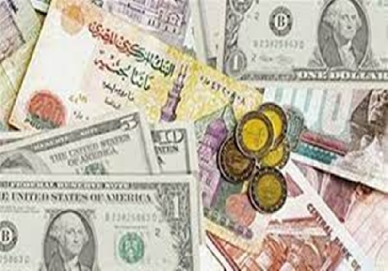 استقرار سعر الدولار في مصر وتنوع مصادر النقد الأجنبي