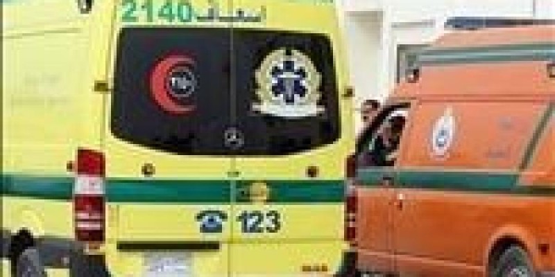 مغادرة 16 شخصًا مستشفى كفر الدوار بعد تحسن حالاتهم الصحية