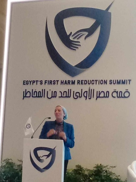 وزيرة البيئة : تفتتح قمة مصر الأولىللحد من المخاطر