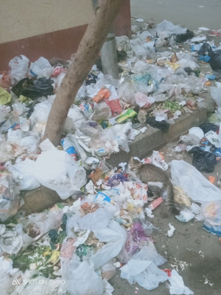 القمامة تزين مدخل المدرسة الابتدائية