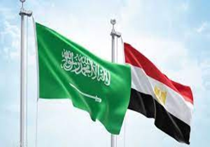 : ”مصر والسعودية تستعرضان فرص تحويل التبادل التجاري إلى العملات المحلية