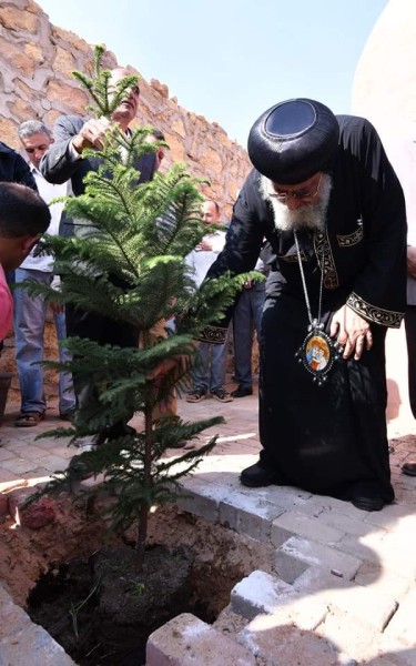 قداسة البابا يغرس شجرة السلام في بيت الاميرة