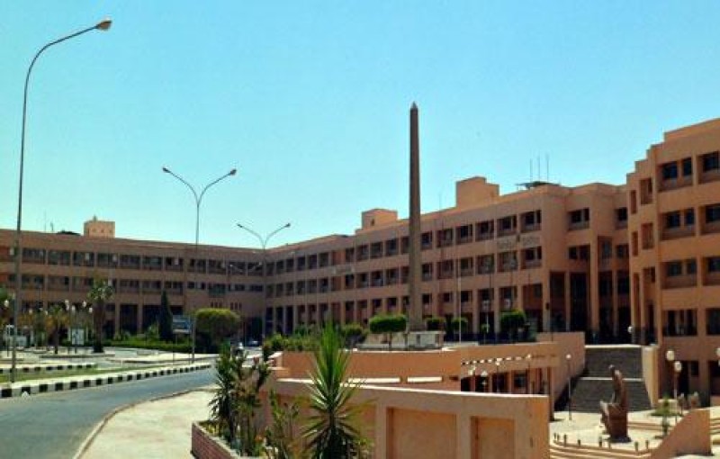 جامعة مدينة السادات