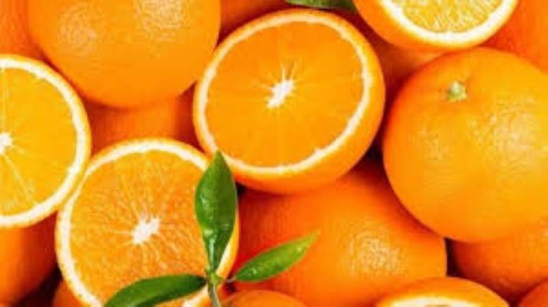 ما أهمية تناول ثمرة من البرتقال يوميا فى الشتاء؟