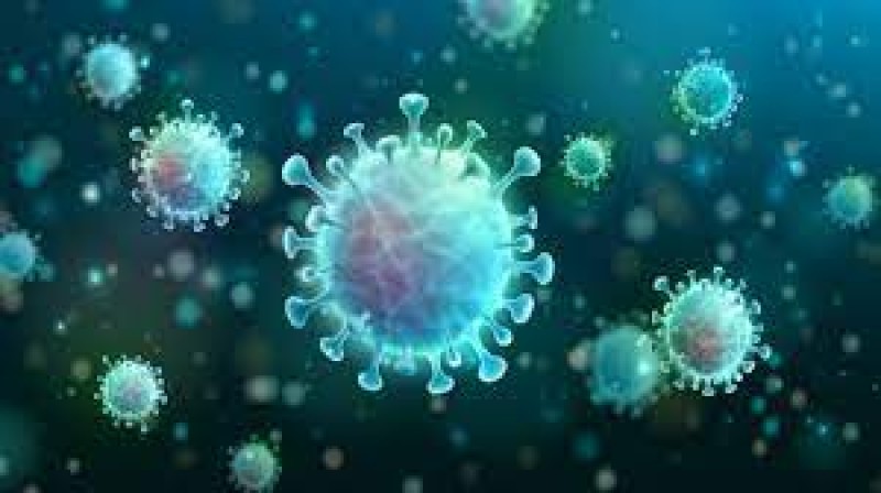 حقيقة انتشار فيروس جديد خلال الشتاء