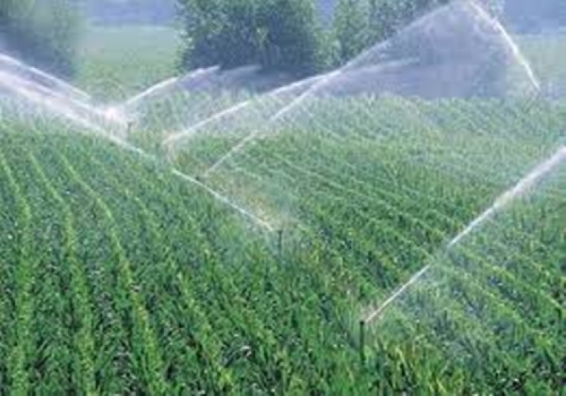 التنسيق الزراعي: جهود مشتركة لتحسين إدارة الموارد المائية وتعزيز الإنتاجية الزراعية