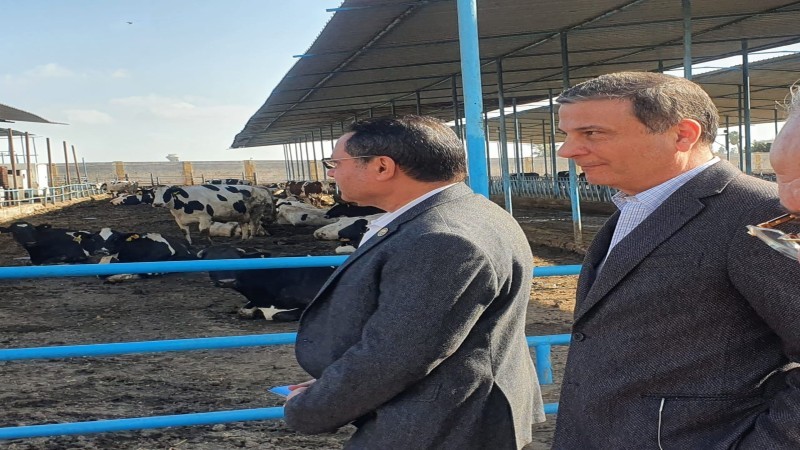 رئيسا البنك الزراعي وزراعة النواب يتفقدان مزارع البقر الحلاب بمصانع ”هيلثي ميلك”