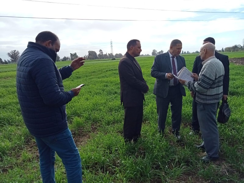 السكرتير العام المساعد يتابع حصر مساحات القمح المنزرعة  بالرحمانية
