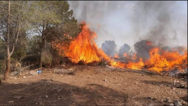 إسرائيل تحترق واستدعاء 25 اطفائيا و6طائرات