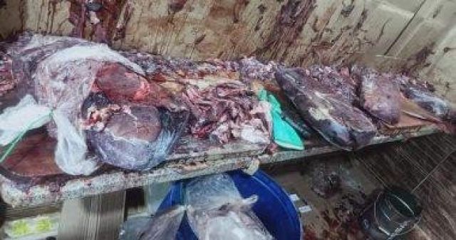 لحوم فاسدة-ارشيفية