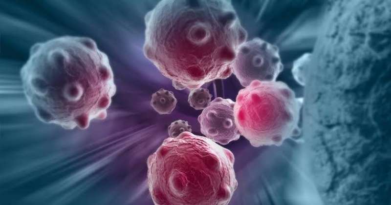 ماذا يحدث للخلايا السرطانية بالجسم بعد قتلها بالعلاجات؟
