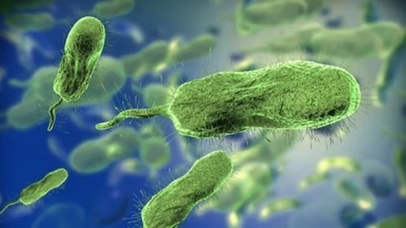 أسباب العدوى البكتيرية.. تنتقل بـ 3 طرق